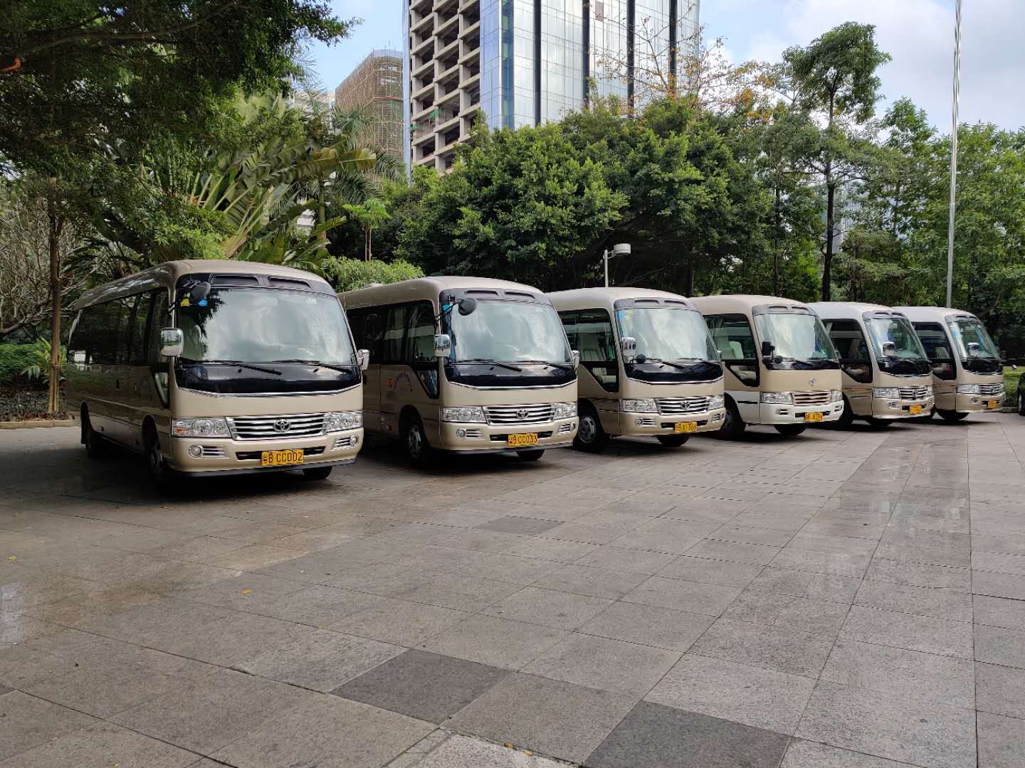 微信图片_202006241729574.jpg