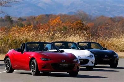 按照代驾租车的深圳埃尔法租车需求可分为以下四种形式