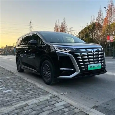 腾势D9接机服务